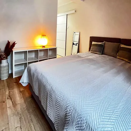 Olchowa 14 Apartment *